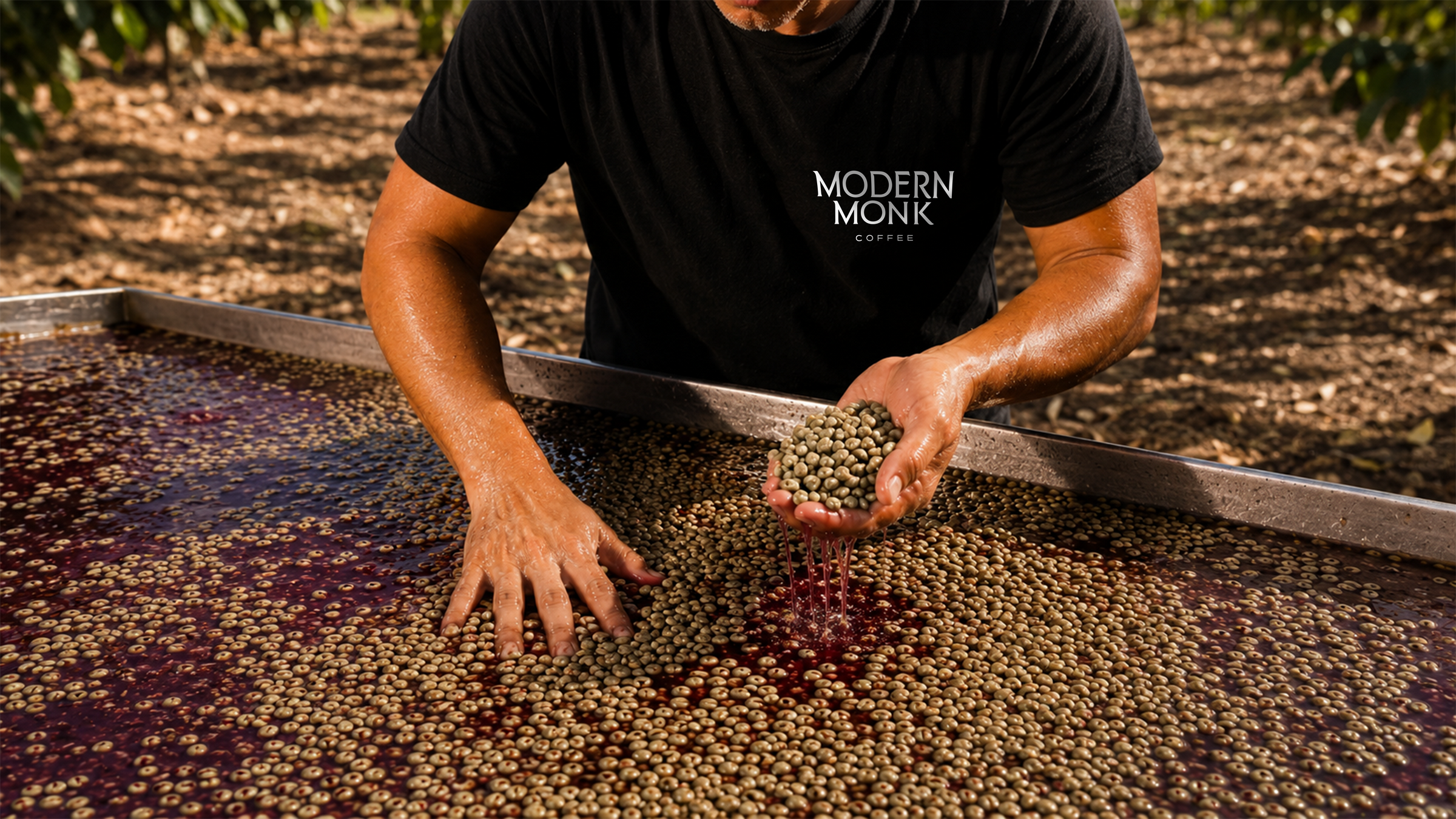 What's Co-ferment?